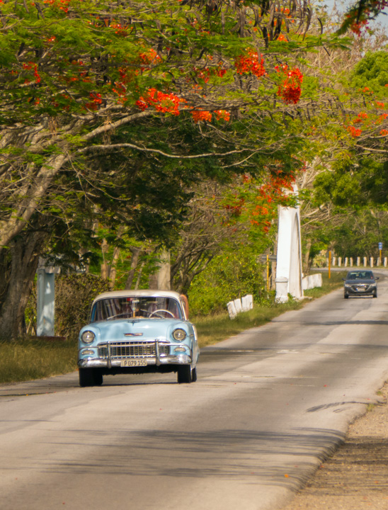 1.8 Cuba 1 for Web _044